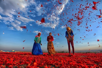 Fırat ve Dicle'nin Doyurduğu Topraklar