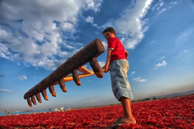 Fırat ve Dicle'nin Doyurduğu Topraklar