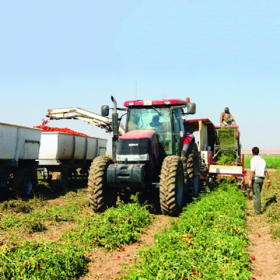 Fırat ve Dicle'nin Doyurduğu Topraklar