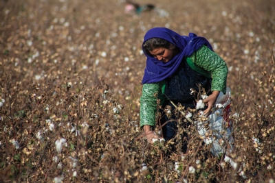 Fırat ve Dicle'nin Doyurduğu Topraklar