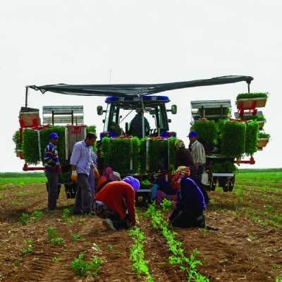 Fırat ve Dicle'nin Doyurduğu Topraklar