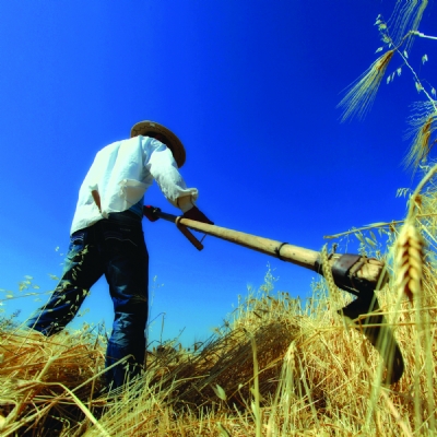 Fırat ve Dicle'nin Doyurduğu Topraklar