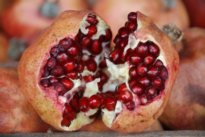 Bereketli Hilal'in Filizlenişi