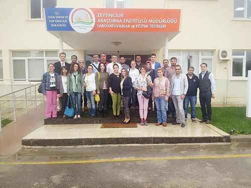 GAP TEYAP Model Uygulama Programından Tarım Danışmanlarına Zeytin Yetiştiriciliği Eğitimi Verildi