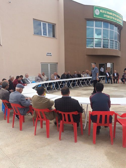 Zeytin Üreticilerine Zeytin Yetiştiriciliği Eğitimi Verildi