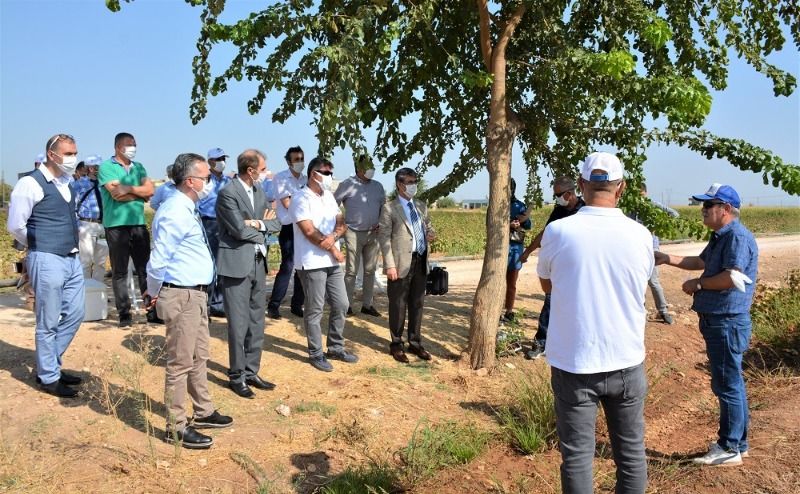 “Pamuğun Dijital Serüveni” Projesi Kapsamında Yapılan Çalışmalar Yerinde İncelendi