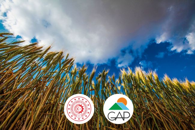 31. Kuruluş Yıl Dönümümüz Kutlu Olsun