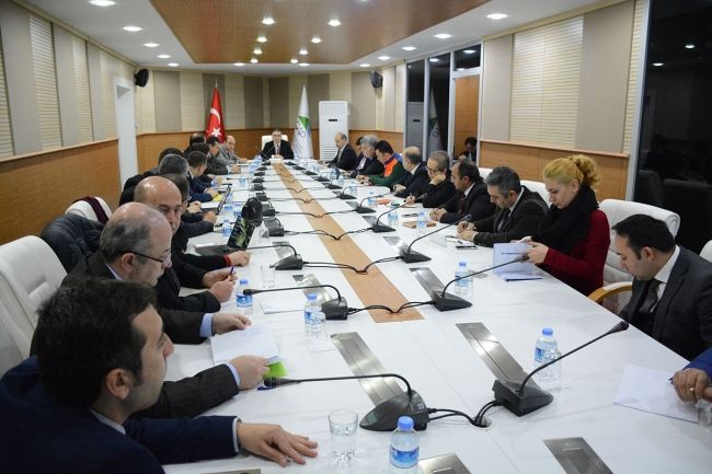 GAP İllerinin Ekonomisi ve İstihdam Piyasası Analizi Toplantıları Yapıldı