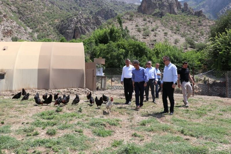 Başkan V. Mehmet AÇIKGÖZ ve Beraberindeki Heyet, “GAP ile Kırsal Yaşamın ve Verimliliğin Artırılması” Proje Alanını Ziyaret Etti