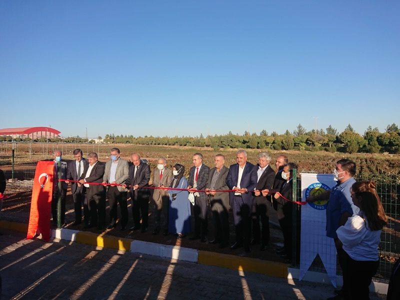 Harran Üniversitesi Dijital Tarım Üssü Araştırma Alanı Faaliyete Geçti