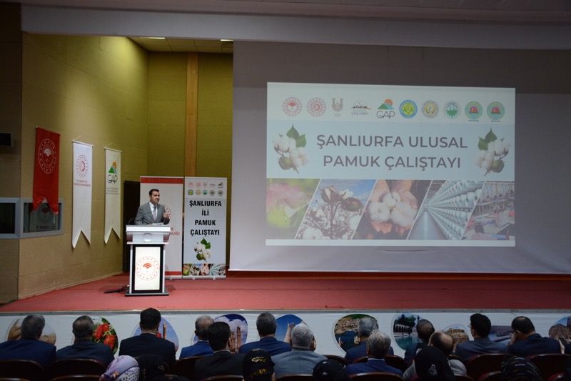 Ulusal Pamuk Çalıştayı Şanlıurfa’da Gerçekleştirildi