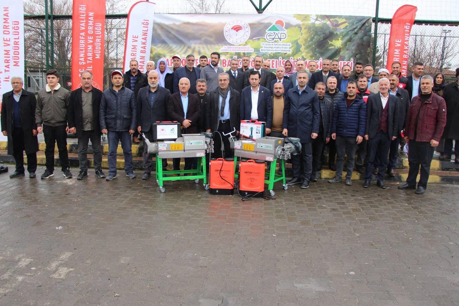 GAP Bölgesi'nde Modern Yöntemlerle Bağcılık Gelişiyor