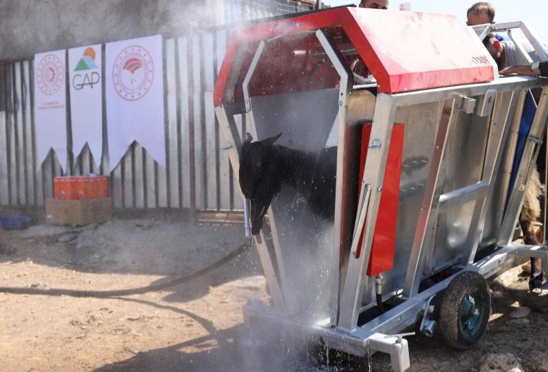 Adıyaman’da Küçükbaş Hayvan Yetiştiricilerine Destek