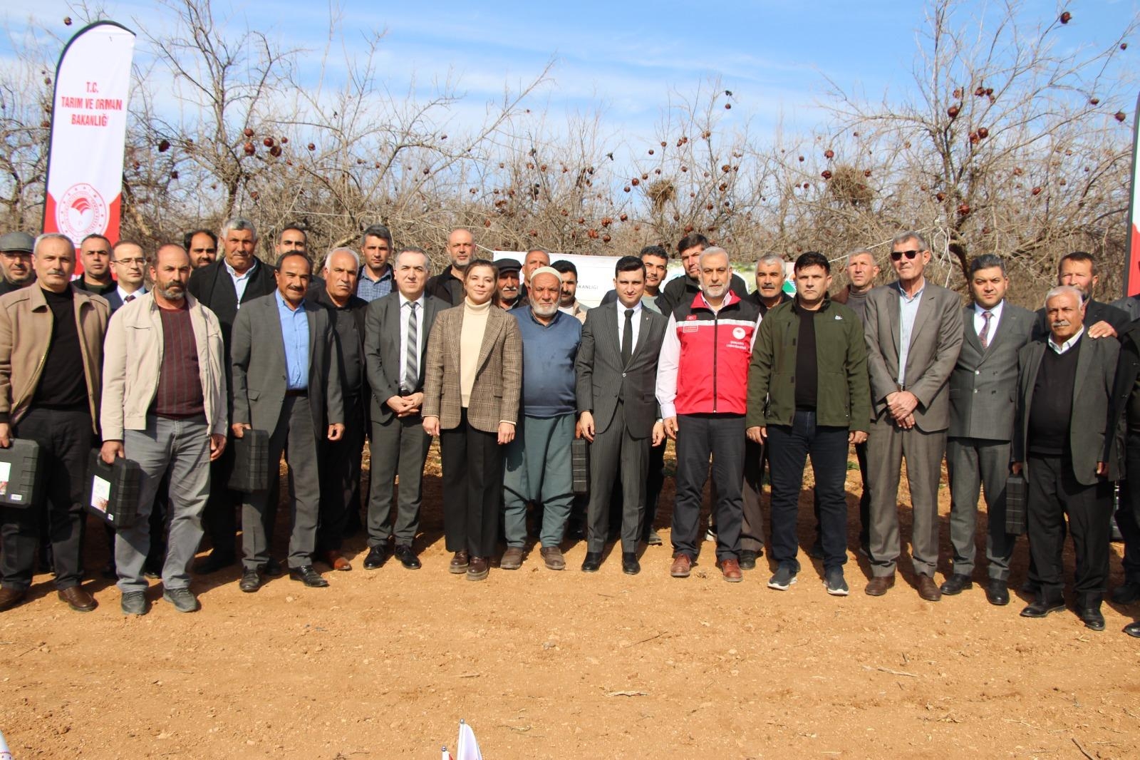 Şanlıurfa Bozova’da GAP İdaresi Desteğiyle Nar Üretiminde Verim Artıyor
