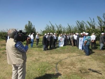 GAP TEYAP Kapsamında, Kiraz Üreticisi Çiftçilere Yönelik Teknik Gezi Düzenlendi