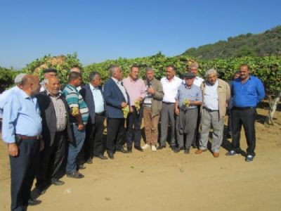 GAP TEYAP Kapsamında, Kiraz Üreticisi Çiftçilere Yönelik Teknik Gezi Düzenlendi