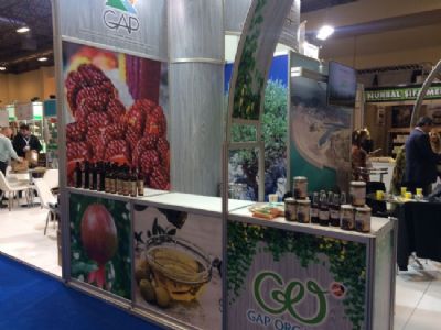 GAP Bölgesinde Üretimi Yapılan Organik Ürünlerin Tanıtımı İstanbul’da Yapıldı