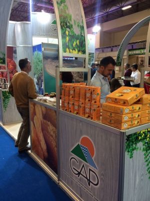 GAP Bölgesinde Üretimi Yapılan Organik Ürünlerin Tanıtımı İstanbul’da Yapıldı