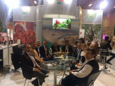 GAP Bölgesinde Üretimi Yapılan Organik Ürünlerin Tanıtımı İstanbul’da Yapıldı