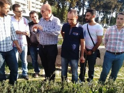 GAP TEYAP Model Uygulama Programından Tarım Danışmanlarına Zeytin Yetiştiriciliği Eğitimi Verildi