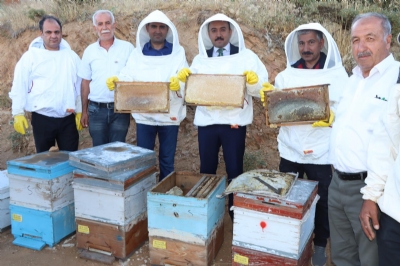 Adıyaman Çelikhan’da Arıcılık Faaliyetleri Yerinde Değerlendirildi