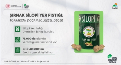 Şırnak Silopi Yer Fıstığı Markalaşma Yolunda İlerliyor