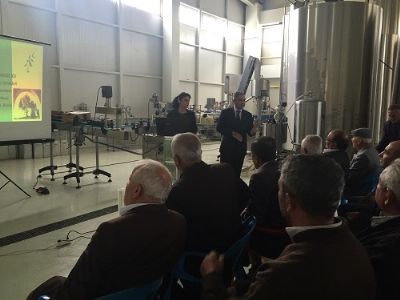 Zeytin Üreticilerine Zeytin Yetiştiriciliği Eğitimi Verildi