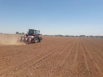 GAP Bölgesi'nde Hassas Tarım ve Sürdürülebilir Uygulamalarının Yaygınlaştırılması Projesi