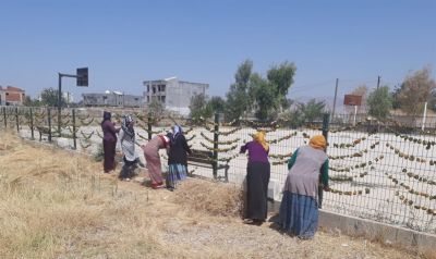 Girişimci Kadınlardan Başkanımıza Ziyaret