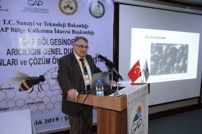 GAP Bölgesinde Arıcılığın Mevcut Durumu, Sorunları ve Çözüm Önerileri Çalıştayı