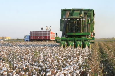 7 Ekim Dünya Pamuk Günü