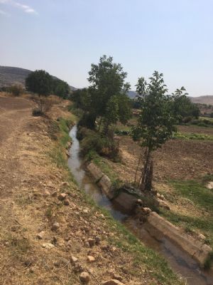 Mardin'in Savur İlçesinde Proje Alanları Yerinde İncelendi