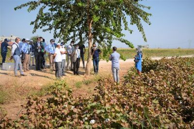 “Pamuğun Dijital Serüveni” Projesi Kapsamında Yapılan Çalışmalar Yerinde İncelendi