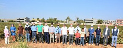 “Pamuğun Dijital Serüveni” Projesi Kapsamında Yapılan Çalışmalar Yerinde İncelendi