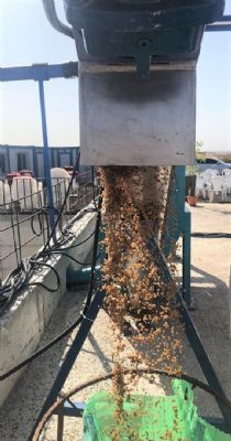 Ebrulim Çekirdeksiz Prina Üretimi Makinalarının Açılış Programına Katılım Sağlandı