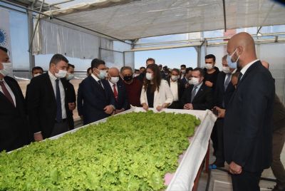 “Topraksız Tarım Serası”nın Açılışı Gerçekleştirildi