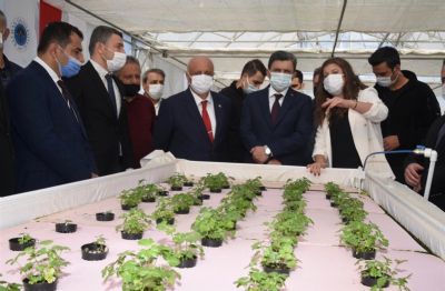 “Topraksız Tarım Serası”nın Açılışı Gerçekleştirildi