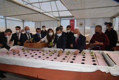 “Topraksız Tarım Serası”nın Açılışı Gerçekleştirildi