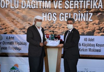 Şanlıurfa’da Küçükbaş Hayvancılığı Geliştirme Projeleri Toplu Dağıtım ve Sertifika Töreni düzenlendi