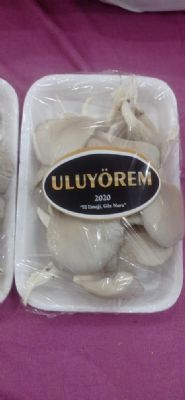 Uluyörem Projesi ile Uludere Markalaşıyor