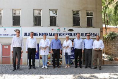 GAP İdaresi Başkanlığınca Desteklenen ve Uludere Kaymakamlığı Tarafından Yürütülen Proje Alanları Ziyaret Edildi
