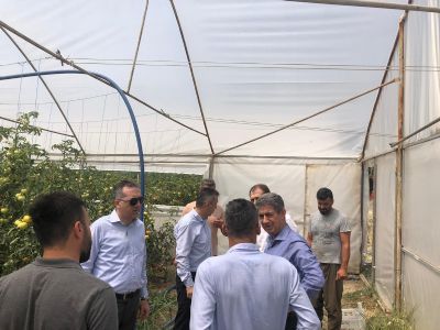 GAP İdaresi Başkanlığınca Desteklenen ve Uludere Kaymakamlığı Tarafından Yürütülen Proje Alanları Ziyaret Edildi