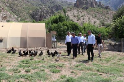 Başkan V. Mehmet AÇIKGÖZ ve Beraberindeki Heyet, “GAP ile Kırsal Yaşamın ve Verimliliğin Artırılması” Proje Alanını Ziyaret Etti