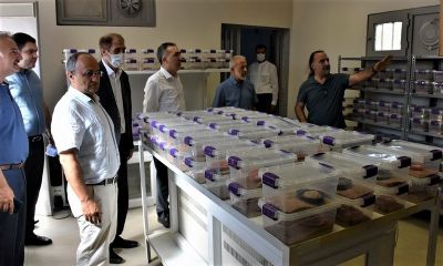 GAP İdaresi Desteğiyle Harran Üniversitesi'nde kurulan Akrep Venom Merkezinde Açık Alan Bahçesi Yapıldı