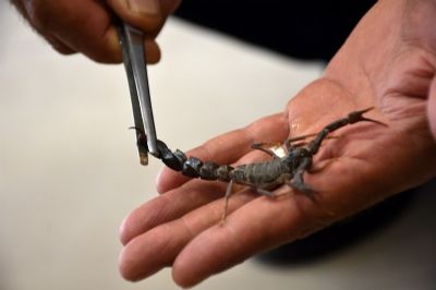 GAP İdaresi Desteğiyle Harran Üniversitesi'nde kurulan Akrep Venom Merkezinde Açık Alan Bahçesi Yapıldı