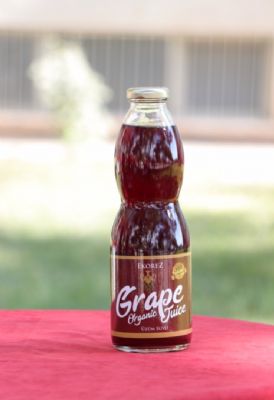 Üzüm Ürünleri İşleme Tesisi Açılışı ve Tadım Etkinliği Gerçekleştirildi