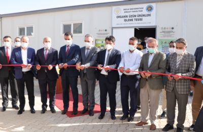 Üzüm Ürünleri İşleme Tesisi Açılışı ve Tadım Etkinliği Gerçekleştirildi