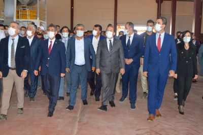 Silopi’de Yer Fıstığının Markalaşma Serüveni Başlıyor