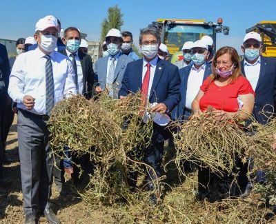 Silopi’de Yer Fıstığının Markalaşma Serüveni Başlıyor