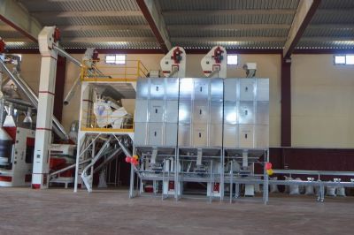 Silopi’de Yer Fıstığının Markalaşma Serüveni Başlıyor